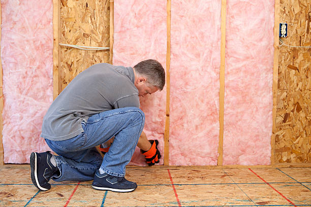 Best Eco-Friendly Insulation in Lmdale, PA