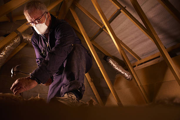 Types of Insulation We Offer in Palmdale, PA